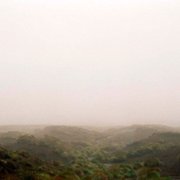 Wuthering Heights - galeria zdjęć - filmweb