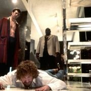 Wonderland - galeria zdjęć - filmweb