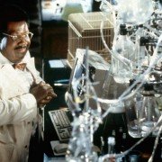 The Nutty Professor - galeria zdjęć - filmweb