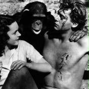 Tarzan the Ape Man - galeria zdjęć - filmweb