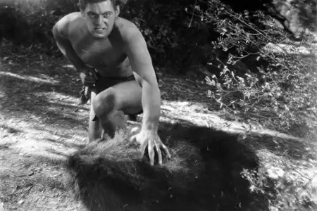 Człowiek małpa - galeria zdjęć - filmweb