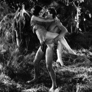 Człowiek małpa - galeria zdjęć - filmweb