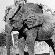 Tarzan the Ape Man - galeria zdjęć - filmweb