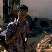The Pool - galeria zdjęć - filmweb