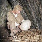Zygfryd - galeria zdjęć - filmweb
