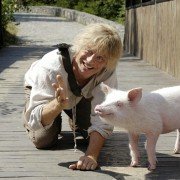 Zygfryd - galeria zdjęć - filmweb