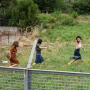 Wolność po włosku - galeria zdjęć - filmweb