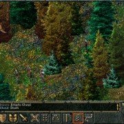 Baldur's Gate - galeria zdjęć - filmweb