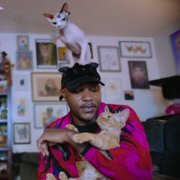 Cat People - galeria zdjęć - filmweb
