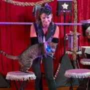 Cat People - galeria zdjęć - filmweb
