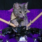 Cat People - galeria zdjęć - filmweb