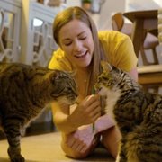Cat People - galeria zdjęć - filmweb