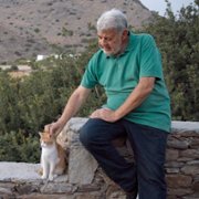 Cat People - galeria zdjęć - filmweb