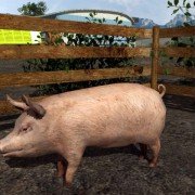 Agrar Simulator 2011 - galeria zdjęć - filmweb