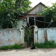 Inna de Yard - galeria zdjęć - filmweb