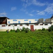 Inna de Yard - galeria zdjęć - filmweb