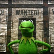 Muppets Most Wanted - galeria zdjęć - filmweb