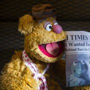 Muppets Most Wanted - galeria zdjęć - filmweb
