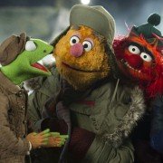 Muppets Most Wanted - galeria zdjęć - filmweb
