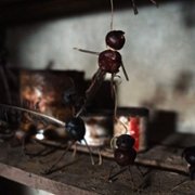 Kastanjemanden - galeria zdjęć - filmweb