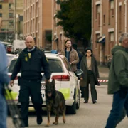 Kastanjemanden - galeria zdjęć - filmweb