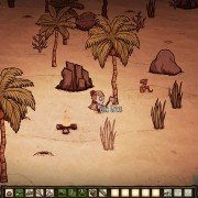 Don't Starve: Shipwrecked - galeria zdjęć - filmweb
