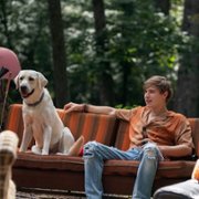 Dog Gone - galeria zdjęć - filmweb