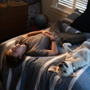 Dog Gone - galeria zdjęć - filmweb
