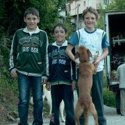 O manavis - galeria zdjęć - filmweb