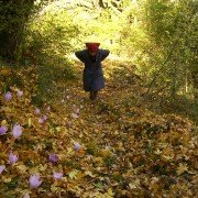 O manavis - galeria zdjęć - filmweb