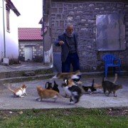 O manavis - galeria zdjęć - filmweb