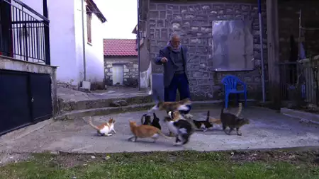 O manavis - galeria zdjęć - filmweb