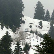 O manavis - galeria zdjęć - filmweb