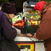 O manavis - galeria zdjęć - filmweb