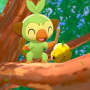 Pokemon Sword - galeria zdjęć - filmweb