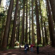 Bigfoot: The Lost Coast Tapes - galeria zdjęć - filmweb