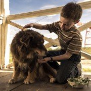The Young and Prodigious T.S. Spivet - galeria zdjęć - filmweb