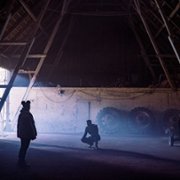 Wybrana - galeria zdjęć - filmweb