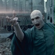 Harry Potter i Insygnia Śmierci: Część II - galeria zdjęć - filmweb