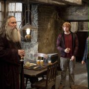 Harry Potter i Insygnia Śmierci: Część II - galeria zdjęć - filmweb