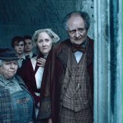 David Bradley w Harry Potter i Insygnia Śmierci: Część II