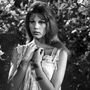 Rozwód po włosku - galeria zdjęć - filmweb