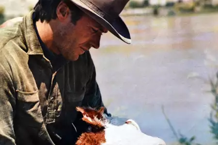 Powiesić go wysoko - galeria zdjęć - filmweb