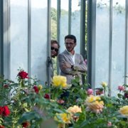 Usłane różami - galeria zdjęć - filmweb
