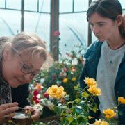 Usłane różami - galeria zdjęć - filmweb