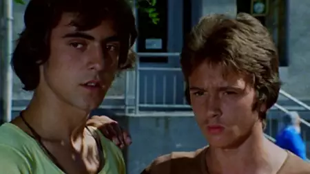 Szaleństwo Majki Skowron - galeria zdjęć - filmweb