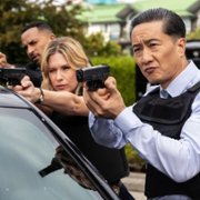 Wild Cards - galeria zdjęć - filmweb