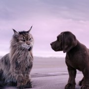 Chien et chat - galeria zdjęć - filmweb