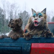 Chien et chat - galeria zdjęć - filmweb