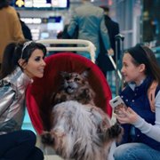 Pies i kot - galeria zdjęć - filmweb